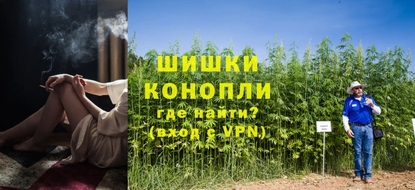шишки Алексин