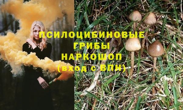 каннабис Алзамай