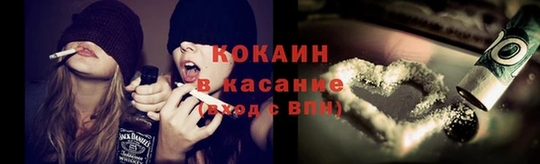 шишки Алексин