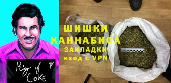 шишки Алексин