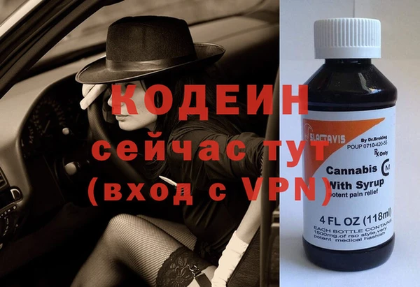 шишки Алексин