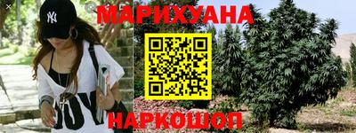 бошки Дубна