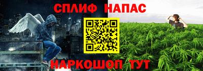 сатива Донецк