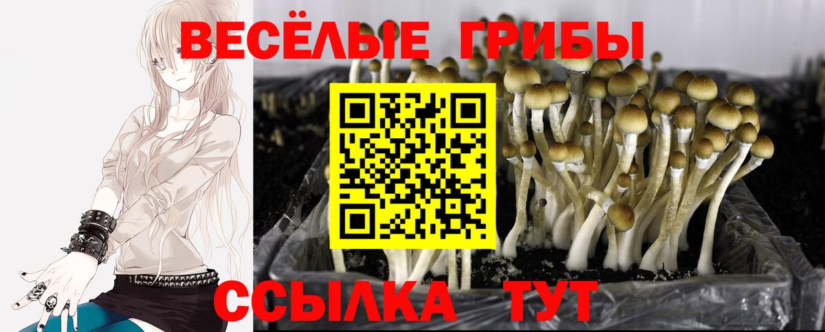 Псилоцибиновые грибы GOLDEN TEACHER  Вход с VPN  Полевской 