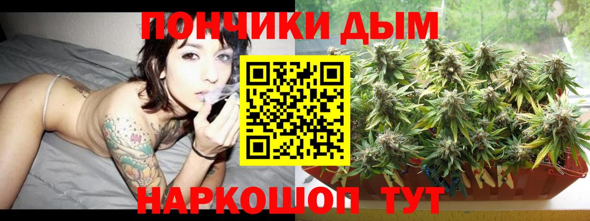 Бошки марихуана планчик  МАРИХУАНА индика  Полевской  Конопля гибрид  Вход с VPN 
